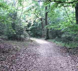 Kreuzweg zum Tannenrain