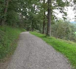 Naturschutzgebiet Zollerhalde Zimmern