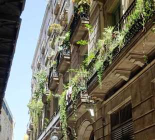 Impressionen aus dem Barri Gòtic