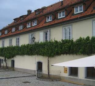 Über 400 Jahre alte Rebe - Wahrzeichen der Stadt