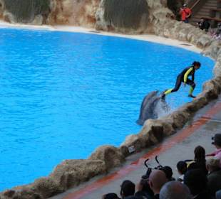 Shows und Unterhaltung