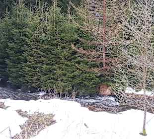 Wandern Rechenberg-Bienenmühle