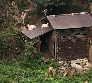 Wandern Fügenberg
