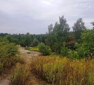 Der erste Blick vom Birkensee