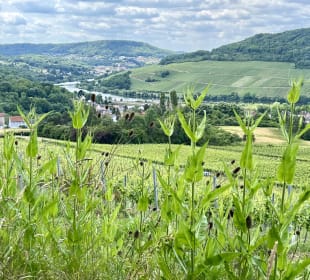 Dreiländereck Deutschland / Frankreich / Schweiz