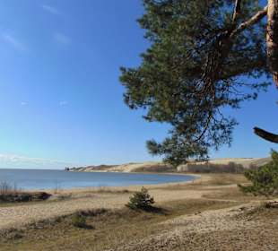 Dünenlandschaft auf der Kurischen Nehrung b. Nida