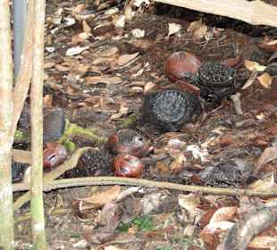 Ausflug Wildfife Expeditions