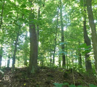 Eindrücke vom Friedrich-Nietzsche-Wanderweg
