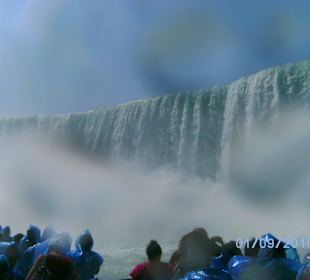 Ganz nah am Geschehen