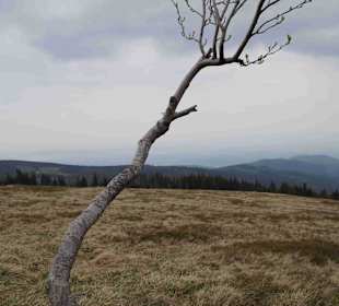 Berg Schneekoppe/Śnieżka