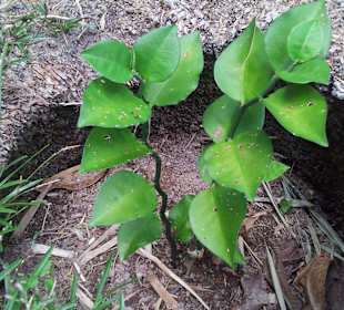 Ausflug mit Mario von Edelweiss Tours