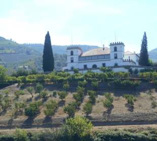 Douro Flussreisen