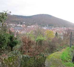 Schlangenweg zum Philosophenweg
