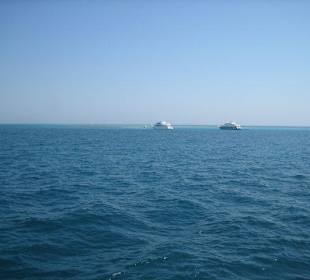 Ausflug "Inselträume"