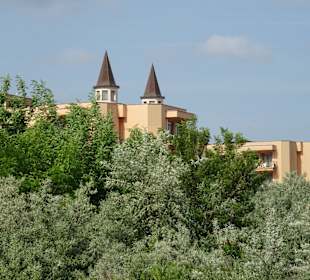 Bei einer Strandwanderung entstanden
