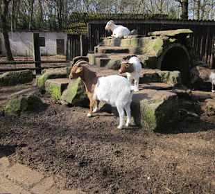 Vogelpark Hassloch