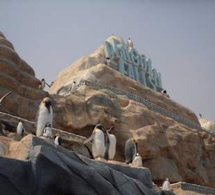 Penguin Falls