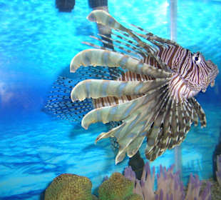 National Aquarium in Santo Domingo