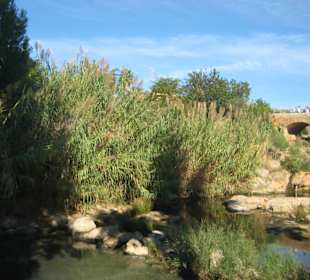 Pont Vell