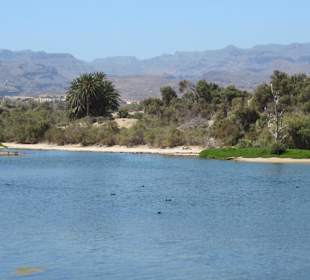 In der Nähe des Strandes Maspalomas