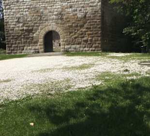 Burg Wäscherschloss