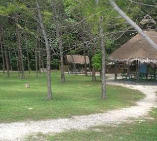 Blockhütte auf Bamboo Island