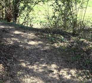 Denkmal für Fürst Friedrich III. von Salm-Kyrburg