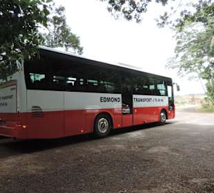 Schiffsbus, wenn der da ist,Ruhe vorbei.