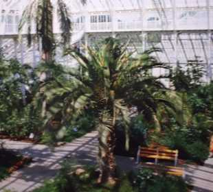 Das größte Trophenhaus aus Stahl