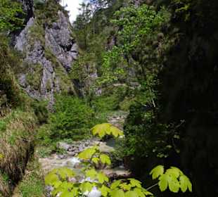 Almbachklamm