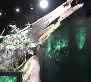 Naturparkzentrum Ruhestein