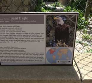 Malta Falconry Centre