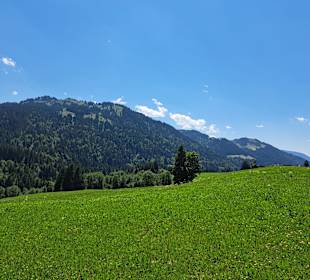 Wandern Balderschwang