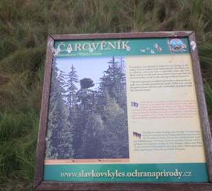 Kladská - rašeliniště