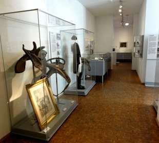 Rundgang durch das Deutsche Pferdemuseum