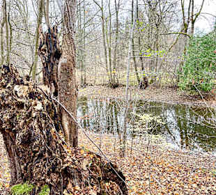 Wandern Friedrichroda