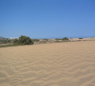 Dünen von Maspalomas