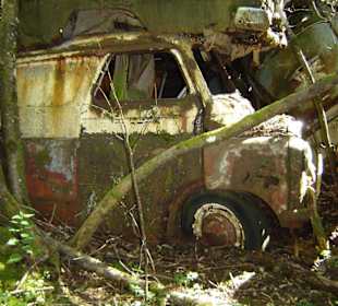Autofriedhof am Foxen