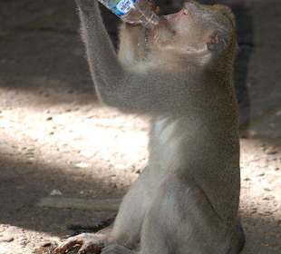 Geklaute Wasserflasche
