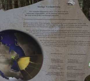 Dinosaurier Museum Altmühltal