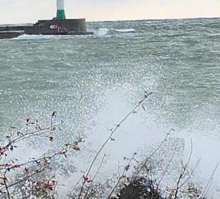 Wandern Neddesitz auf Rügen