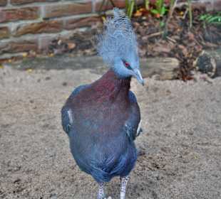 Zoo Dortmund