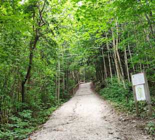 Weg hinauf zum Siriuskogel