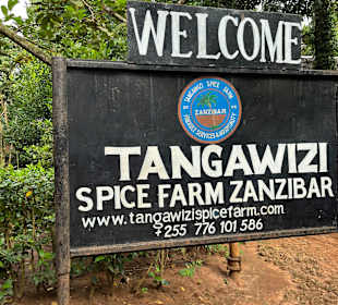 Tangawizi Spice Farm