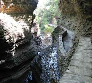 Watkins Glen