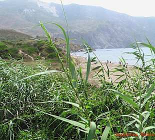 Ende des Strandes von Kalamaki