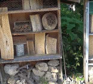 Botanischer Garten München