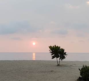 Unser Blick vom Tisch im Boom Boom