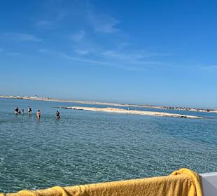 Tauchen & Schnorcheln Hausriff Soma Bay