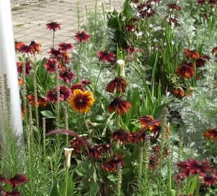 Platz am Kriegerdenkmal Auingen